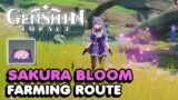 Sakura Bloom Locations Guide In Genshin Impact