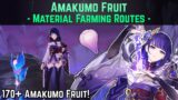 Amakumo Fruit Farming Routes (176 to Collect!) | Genshin Impact Guide