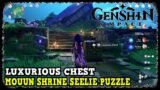 Mouun Shrine Seelie Puzzle with a Hidden Luxurious Chest in Genshin Impact