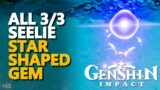Star Shaped Gem Seelie Genshin Impact All 3/3 Puzzle