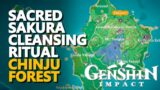 Complete the Sacred Sakura Cleansing Ritual Genshin Impact 1/3