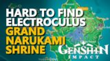 Hard to find Grand Narukami Shrine Electroculus Genshin Impact