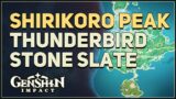 Shirikoro Peak Thunderbird Stone Slate Puzzles Genshin Impact