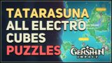 All Tatarasuna Electro Cubes Stone Puzzles Genshin Impact