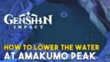 Genshin Impact How To Lower The Water At Amakumo Peak (Puzzle Solution)