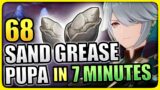 Sand Grease Pupa Locations FAST &EFFICIENT Farming Route Genshin Impact Alhaitham Ascension Material