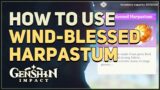 How to use Wind-Blessed Harpastum Genshin Impact