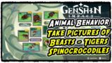 Take pictures of Shaggy Sumpter Beasts – Spinocrocodiles – Rishboland Tigers | Genshin Impact