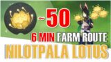 FAST Nilotpala Lotus Locations | 6min Farm Route | Genshin Impact Layla Tighnari Ascension Material