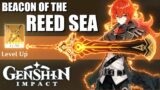 REED SEA MAXED! Who Else Can Use It? (Genshin Impact)