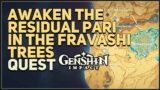 Awaken the Residual Pari in the Fravashi Trees Genshin Impact