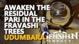 Awaken the Residual Pari in the Fravashi Trees Genshin Impact Udumbara