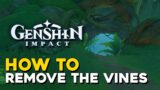 Genshin Impact How To Remove The Vines In Sumeru