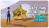 You can RACE this Tortoise to Win Primogems and Rewards!! | Genshin Impact