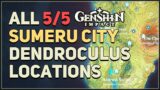 All Sumeru City Dendroculus Locations Genshin Impact
