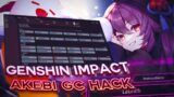 Best Free Hack for Genshin Impact / NOCLIP, ESP and MORE / No ban May 2023
