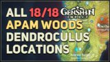 All Apam Woods Dendroculus Genshin Impact