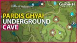 How to Unlock Pardis dhyai Underground Cave Puzzle Sumeru Puzzle Genshin Impact 3.0