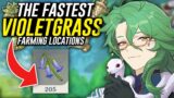 The EASIEST way to FARM Violetgrass in Genshin Impact