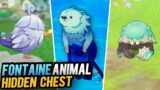 These 4 Animals in Fontaine will Give You Hidden Chest | Genshin Impact 4.0