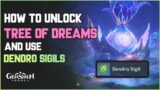 Unlock Tree of Dreams and Use Dendro Sigils | Genshin Impact