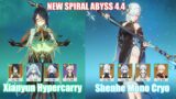 C0 Xianyun Hypercarry & C2 Shenhe Ayaka Mono Cryo | Spiral Abyss 4.4 | Genshin Impact