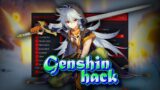 Genshin Impact Hack Download & Genshin Hack Menu (2024)