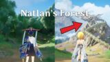 6 KNOWN AREAS WILL BE ADDED IN NATLAN | Genshin Impact