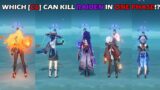 WHICH [C6] CAN KILL RAIDEN IN ONE PHASE!? | GENSHIN IMPACT